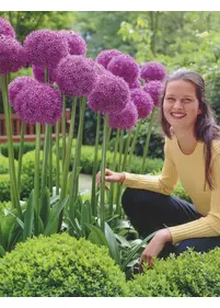 Czosnek 'Globmaster' 24+ 1szt