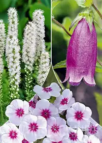 Zestaw nr8 'Energia formy'