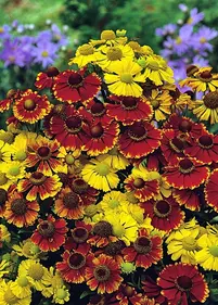 [Zestaw] Dzielżan ogrodowy 2 szt.